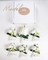 6-Piece White Boutonniere Set – Realistic Ranunculus & Pearl Corsages with Gold Pins for Groom, Groomsmen, Prom, Wedding, Homecoming, Anniversary, Formal Suits